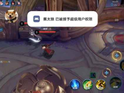 王者手游蕉太狼全图内透上帝视角插件 v5.17