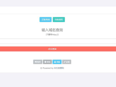  域名授权系统 盗版追踪 域名IP双授权 在线加密系统