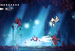 空洞骑士：丝之歌/Hollow Knight: Silksong/支持网络联机