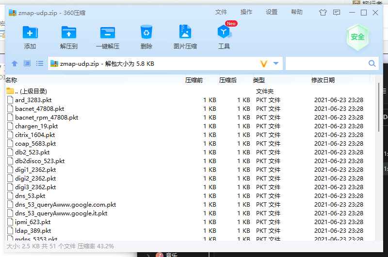 ZMap UDP 探针包  第1张