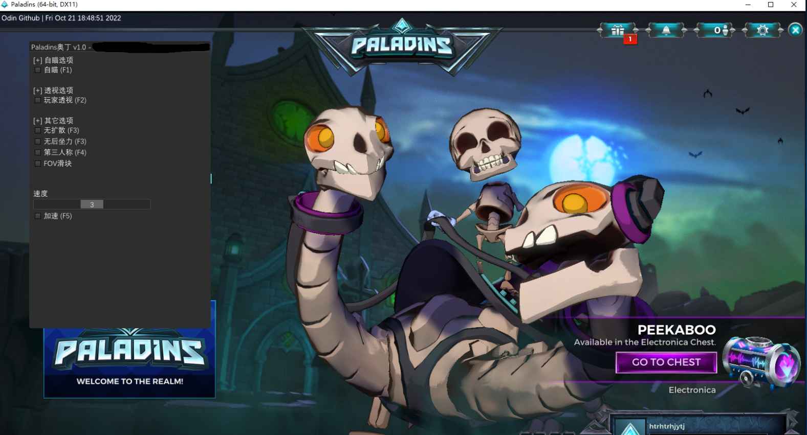 Paladins奥丁 v1.0.5 - 透视自瞄免费辅助  第1张