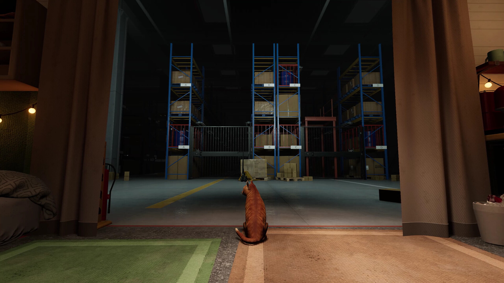 猫好货坏/ORDER 13 第1张 猫好货坏/ORDER 13 第1张