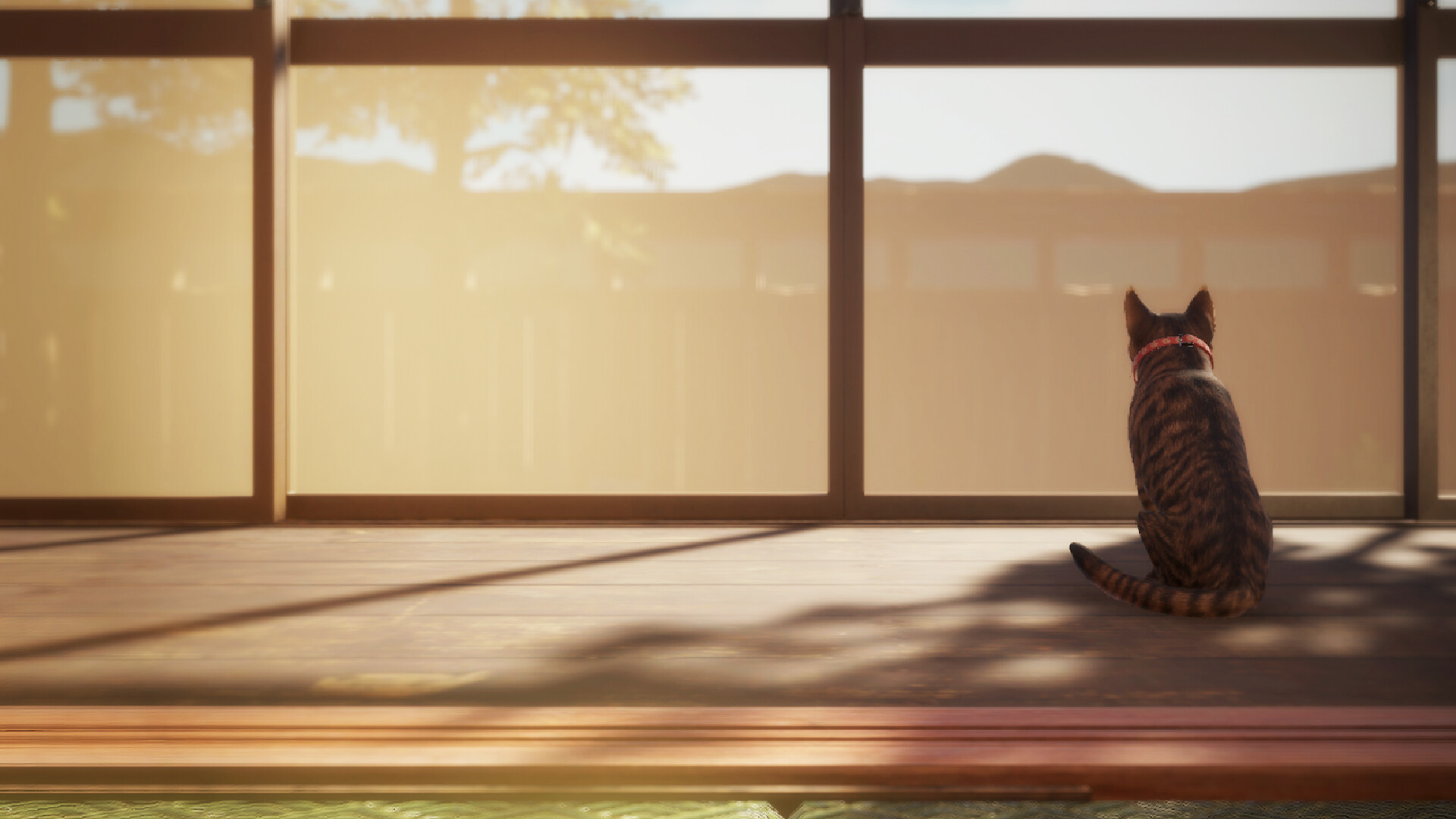 猫还在逃吗？/Still It Runs  第3张